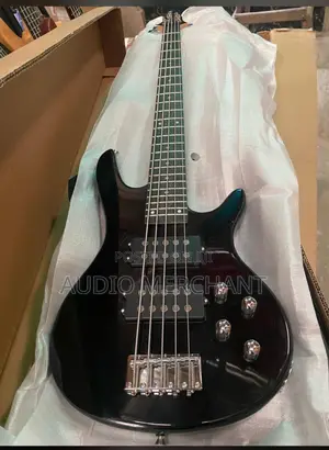 Professional 5 Strings Bass Guitar With 4 Pick Ups