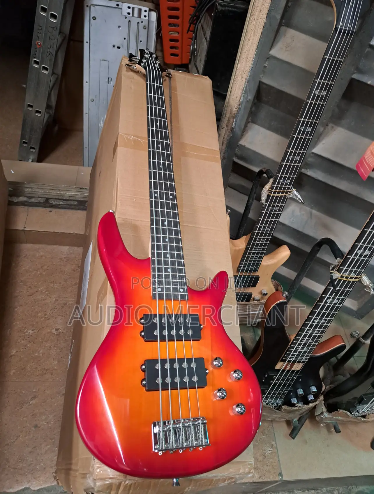 Professional 5 Strings Bass Guitar With 4 Pick Ups