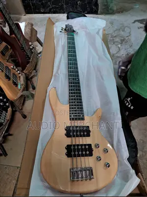 Professional 5 Strings Bass Guitar With 4 Pick Ups