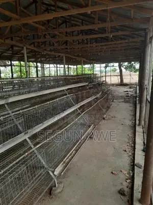 Poultry Farm for Sale