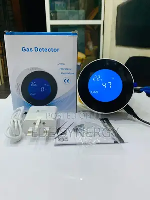 Smart Gas Detector for Home and Office Use