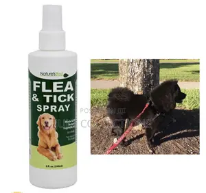 1 Natural Flea Tick Spray Dog