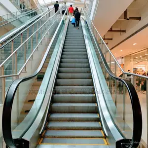 Indoor Residential Elevator Cheap Escalators House