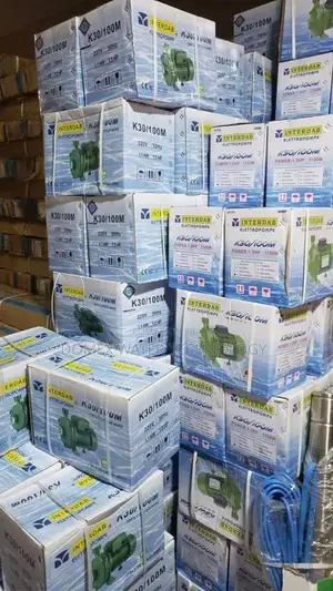 Interdap 1.5ho Surface Pump