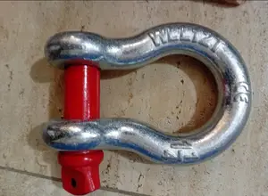 12ton WLL Shackle