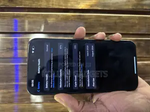 Apple iPhone 15 Pro Max 256 GB Black