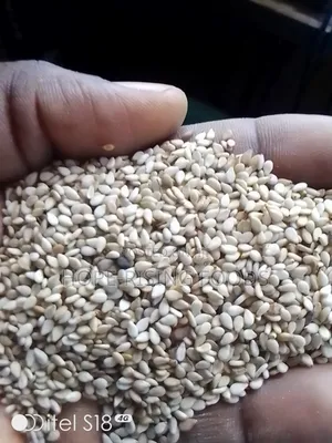 Sesame Seeds (And Chia Seeds)