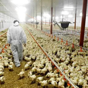 Farm Manager and Consultant