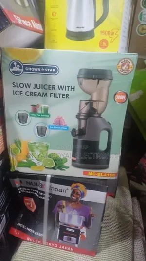 Crown Star Slow Juicer With Ice Cream Filter