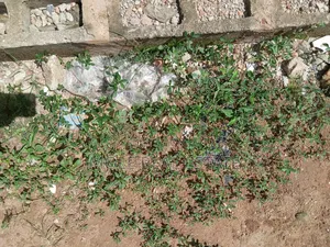 600sqm ( Fulĺ Plot ) 4 Lease Calvary B/S Ikotun Idimu Rd