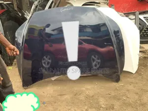 Lexus Rx 350 2019 Model Bonnet Neat One