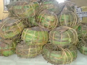 Aju Mbaise Wraps