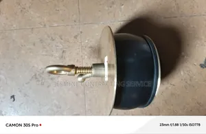 Brass Scupa Plug
