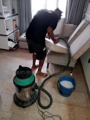 Guarantee Sofa/ Couch Cleaning. Wash/Dry