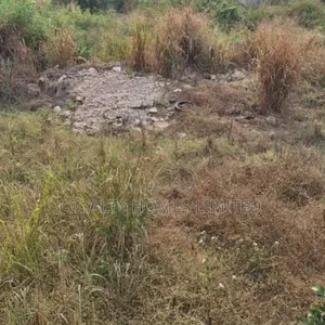 Land Available at Oregun