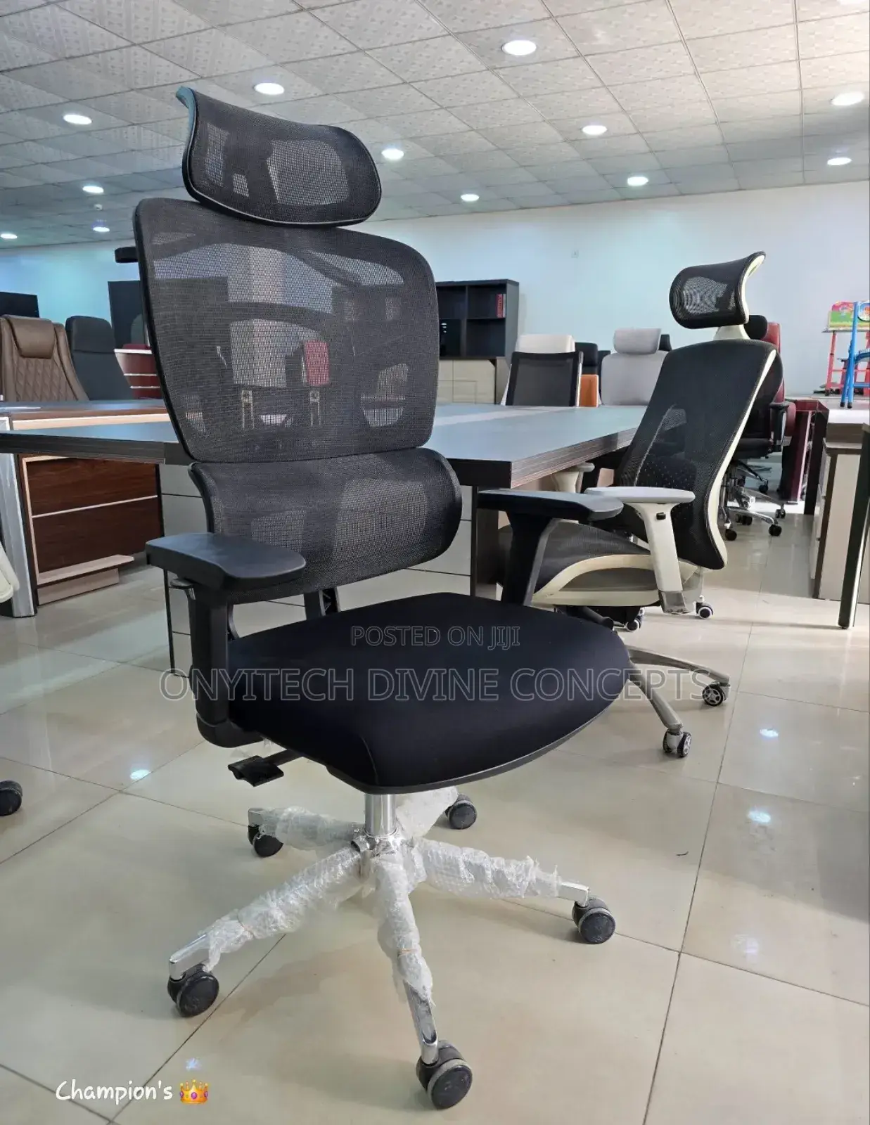 Luxury Ergonomic Chair With Lumbar Support