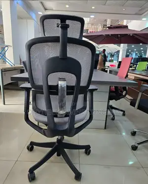 Ergonomic Chair With Adjustable Handle and Lumber Support