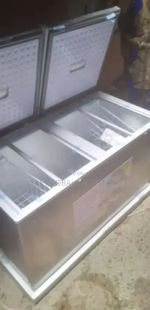 Double Door Freezer