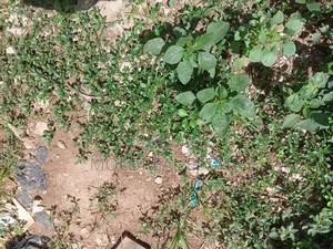 3000sqm Plot Eko Atlantic Jointventure No Premium