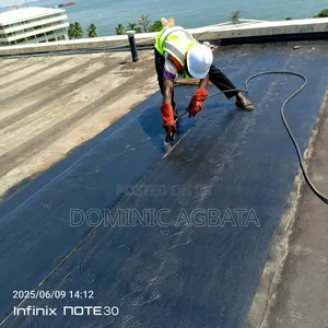 Precocious Waterproofing Expert