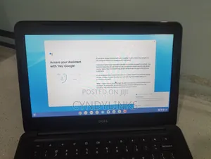 Laptop Dell Latitude 13 3380 4GB Intel Celeron SSD 60GB