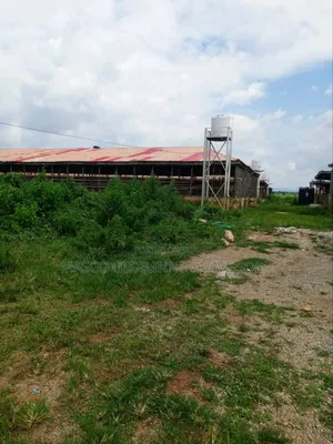 118hectare of Farm Land for Sale in Abuja