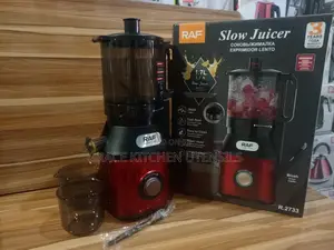 Multifunction Raf Industrial Slow Juicer 300watts