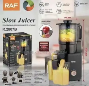 Multifunction Raf Industrial Slow Juicer 300watts