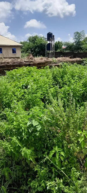 Residential Land For Sale In Ibadan