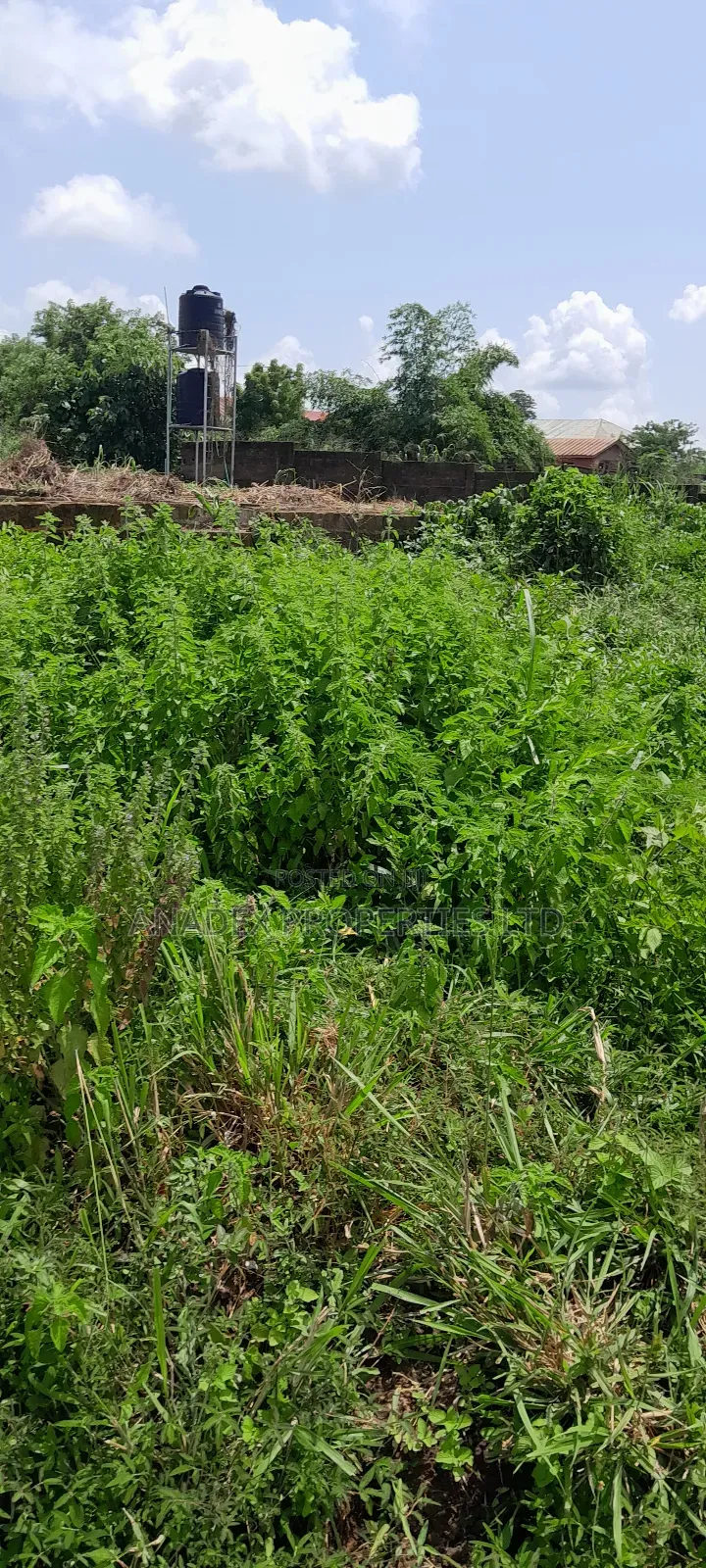 Residential Land For Sale In Ibadan