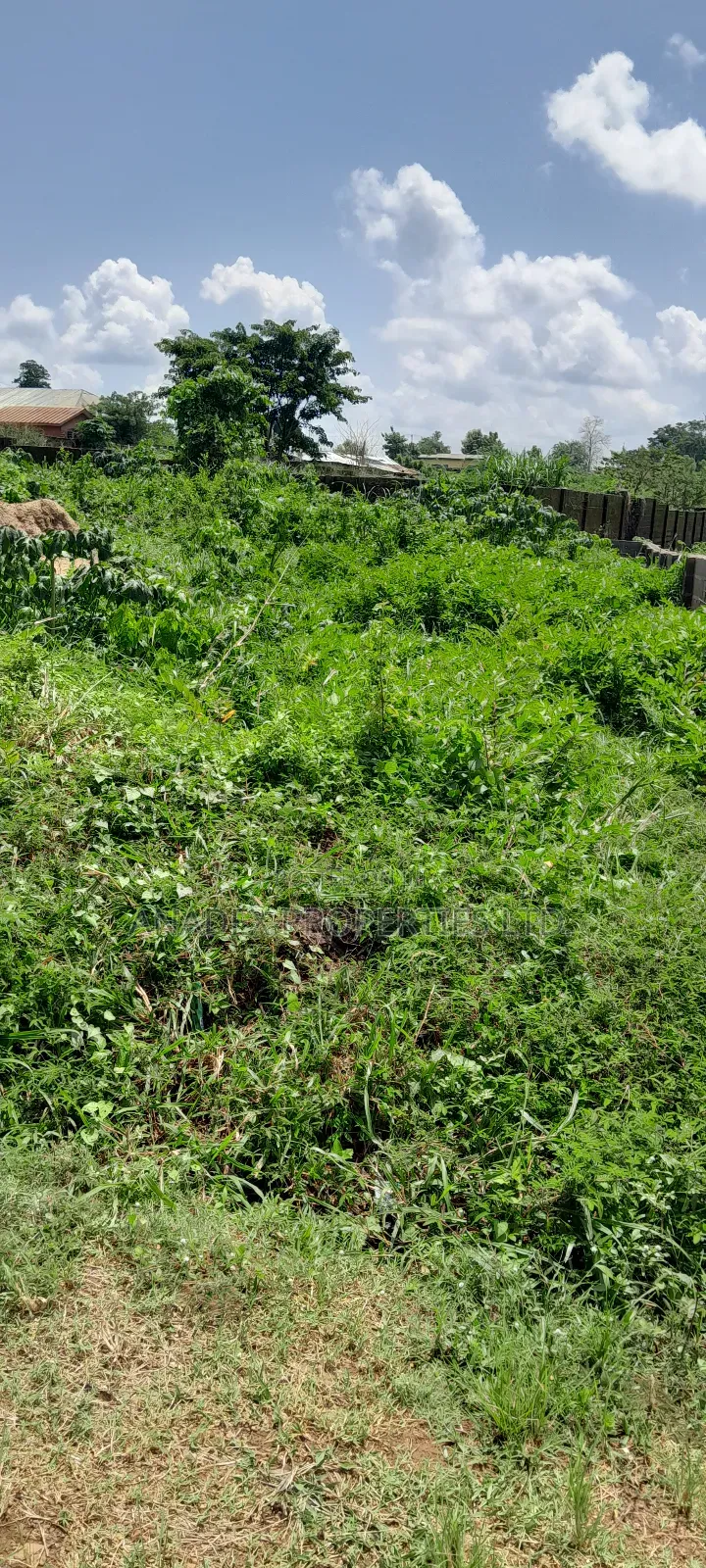 Residential Land For Sale In Ibadan