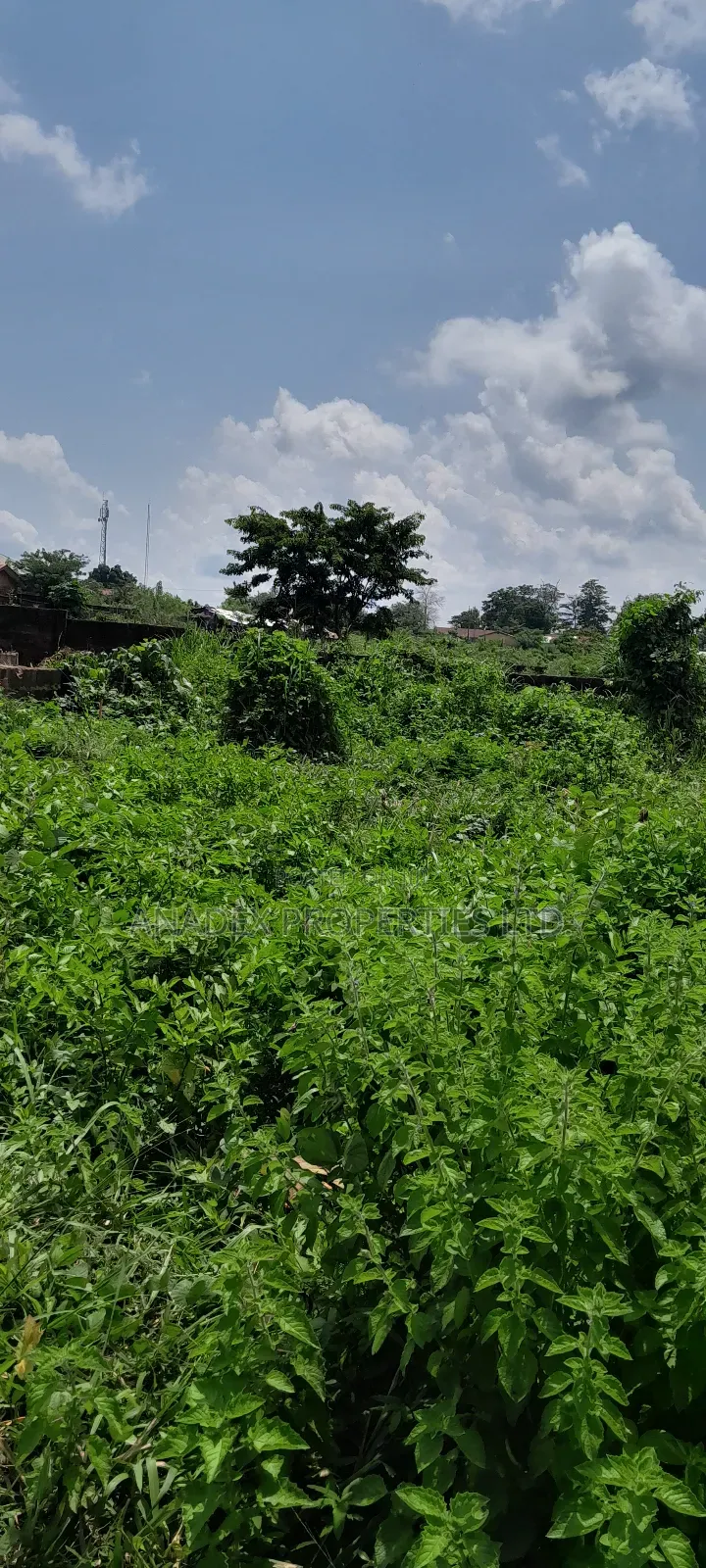 Residential Land For Sale In Ibadan