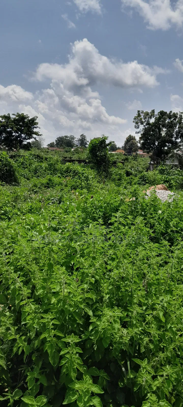 Residential Land For Sale In Ibadan