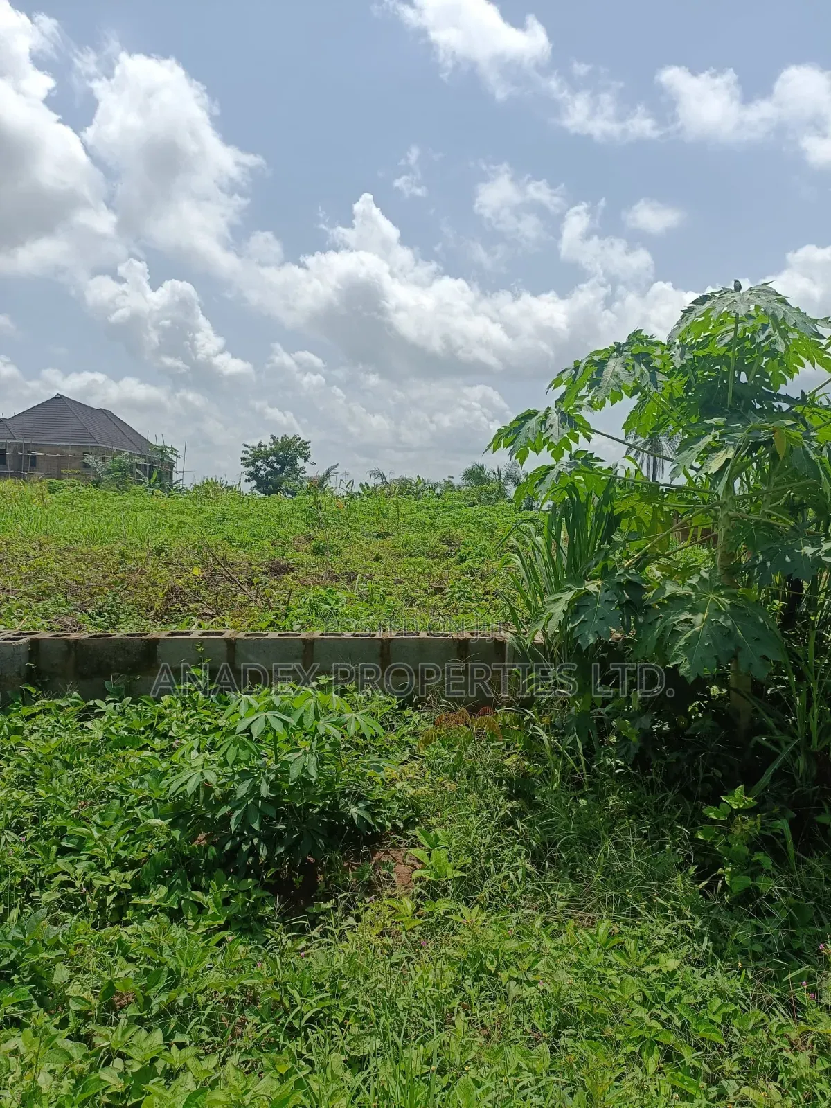 Land for Sale in Ibadan