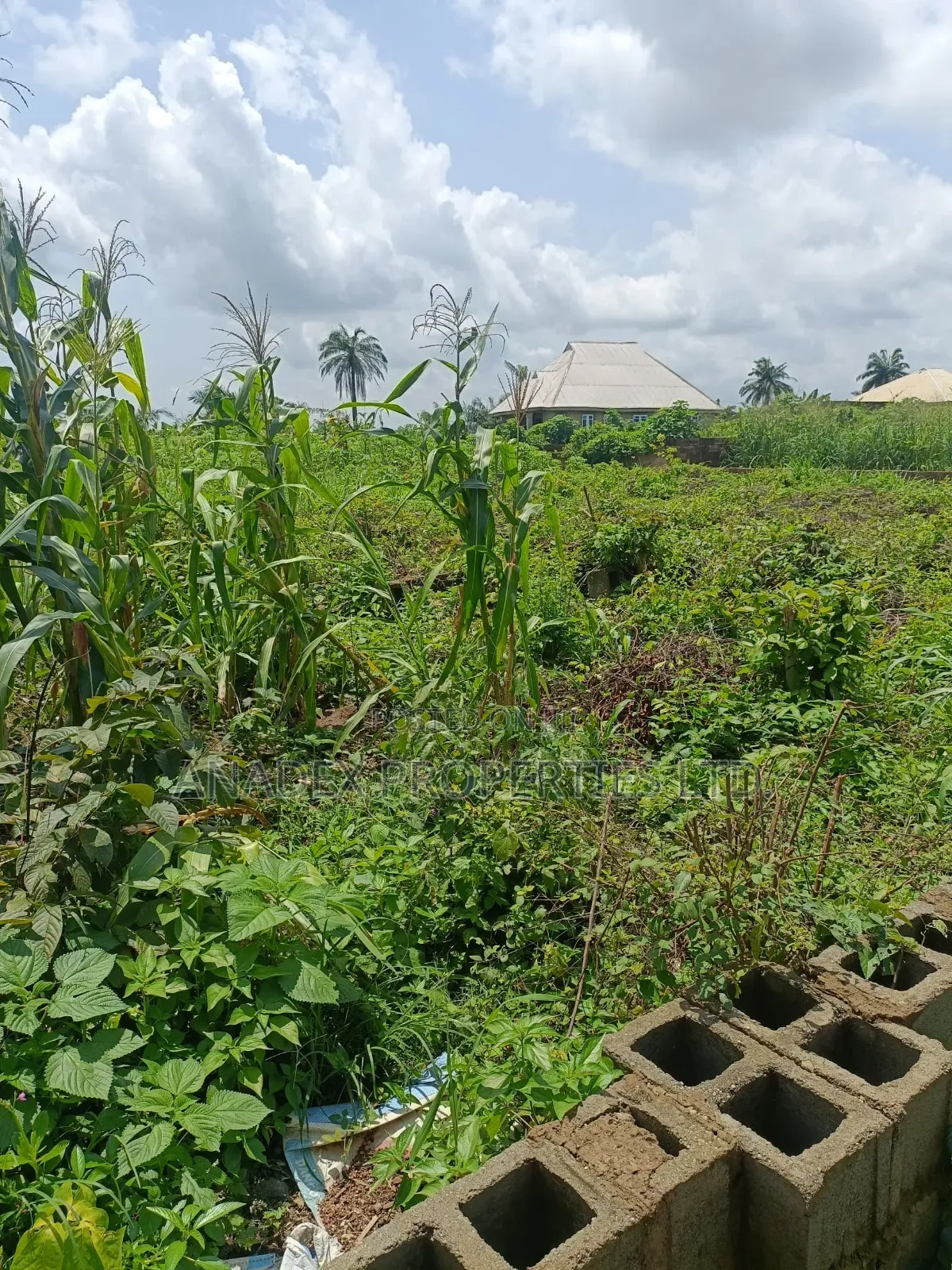 Land for Sale in Ibadan