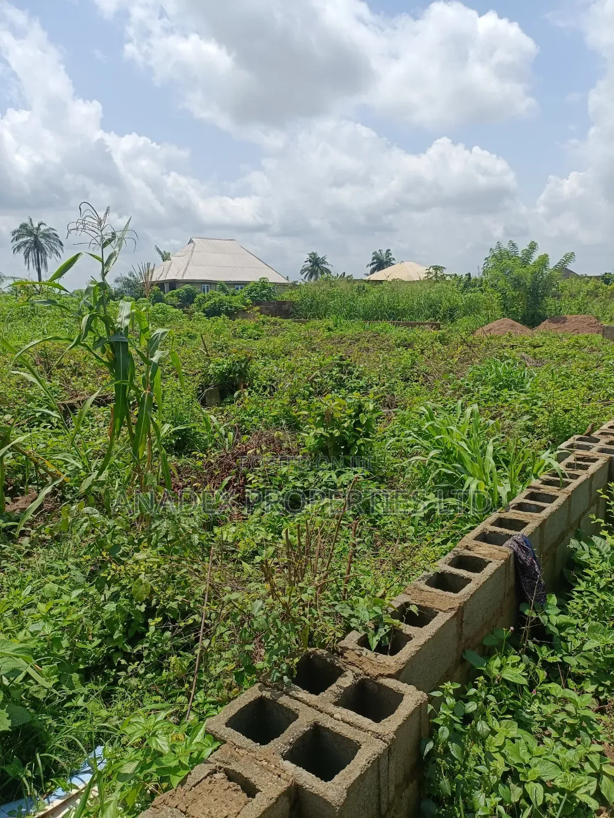 Land for Sale in Ibadan