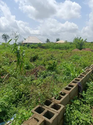 Land for Sale in Ibadan