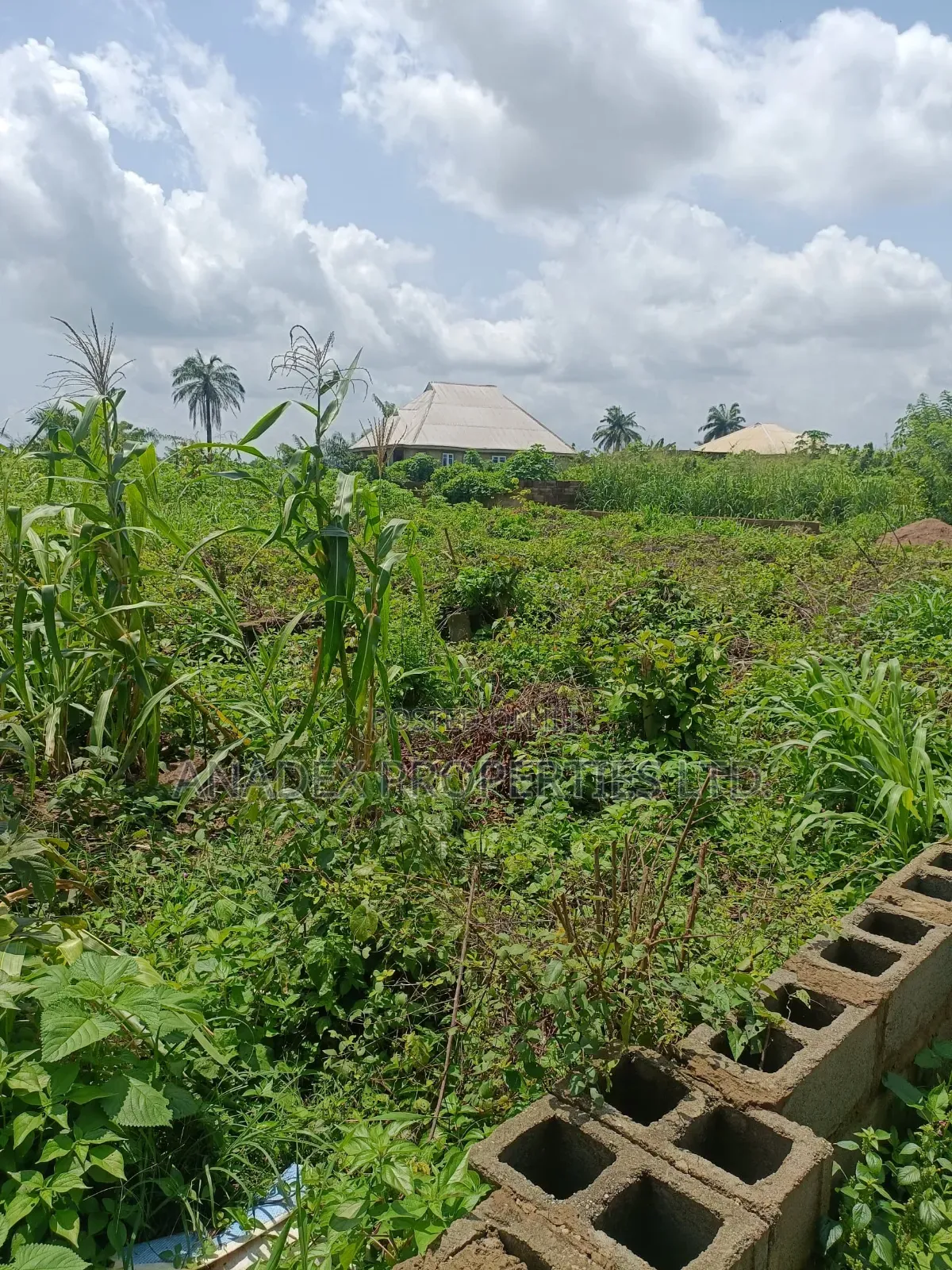 Land for Sale in Ibadan