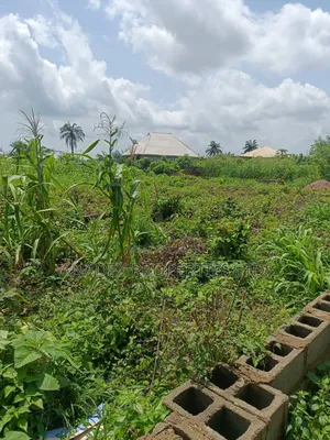 Land for Sale in Ibadan