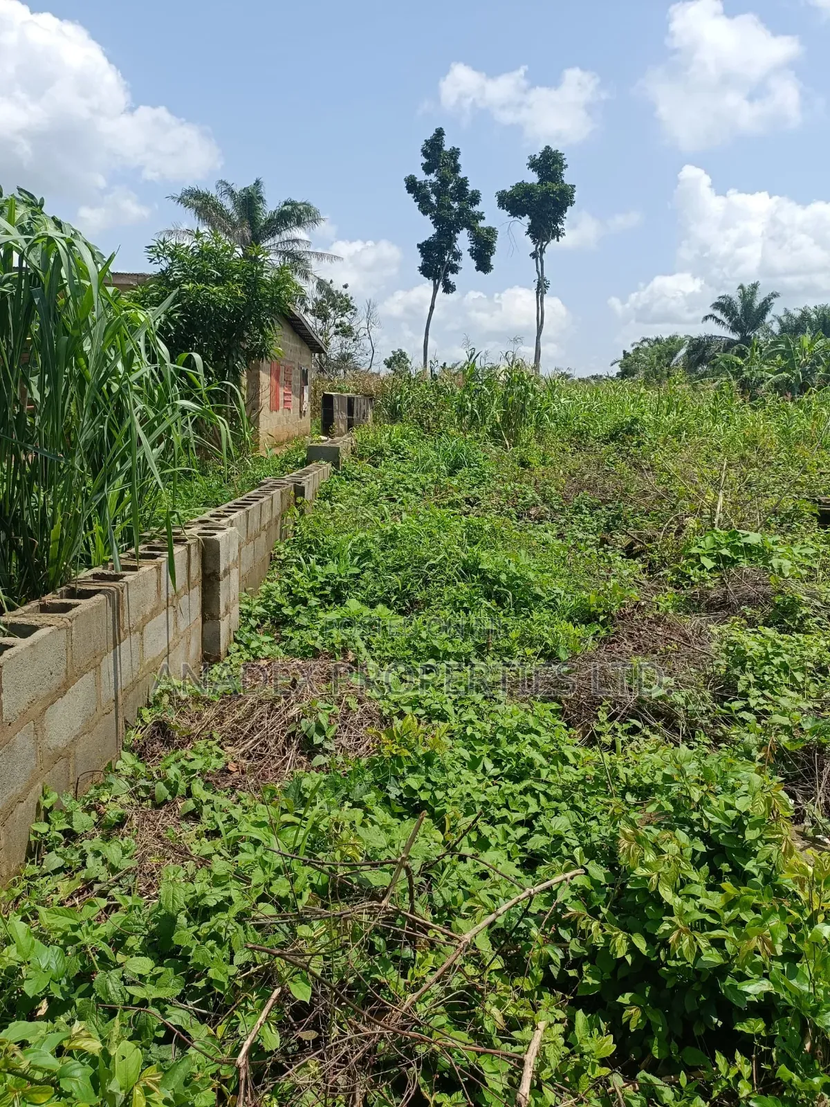 Land for Sale in Ibadan