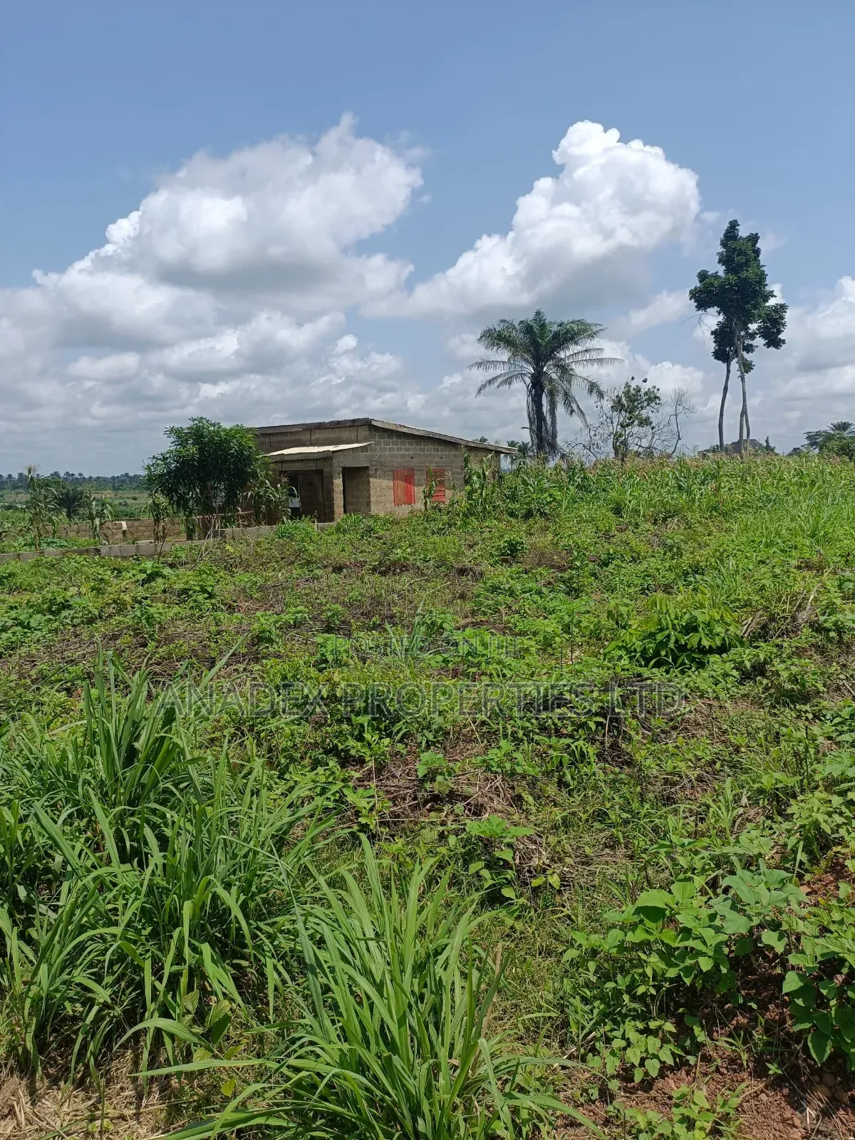 Land for Sale in Ibadan