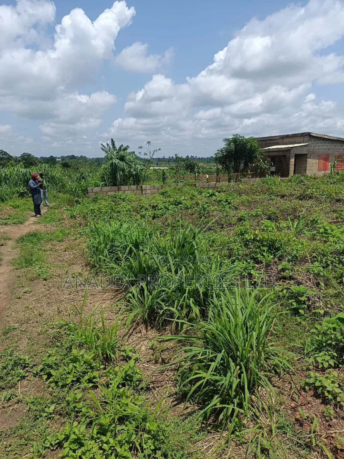 Land for Sale in Ibadan