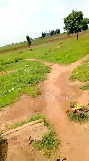 20 Hectares of Land in Kurudu