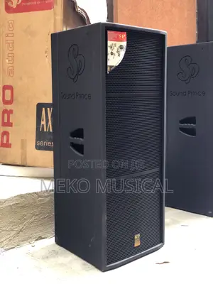 Photo - Double 15 Inch Full Range Speaker 