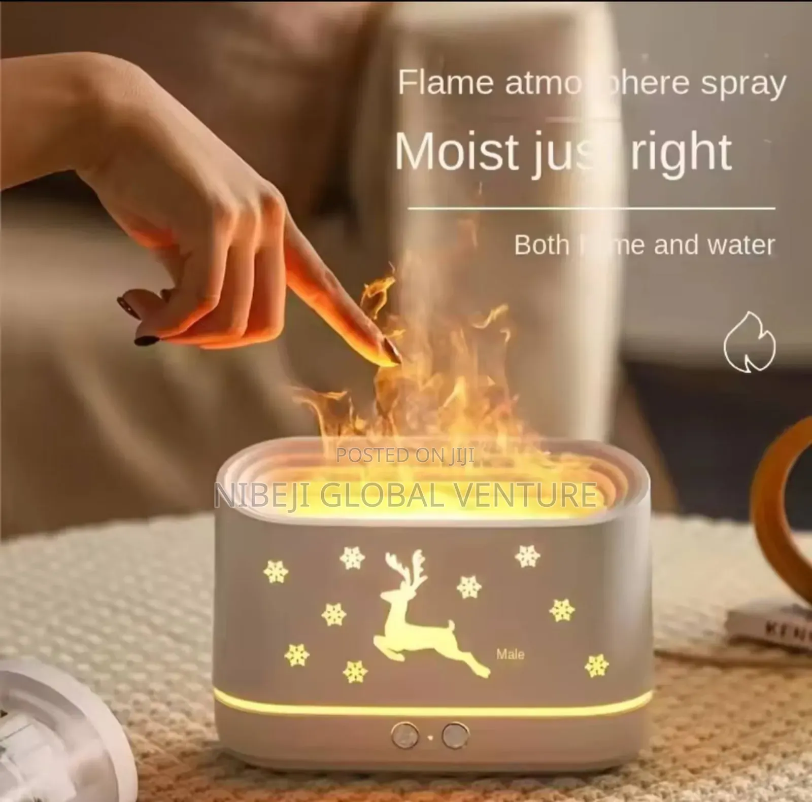 Flame Aromatherapy Humidifier