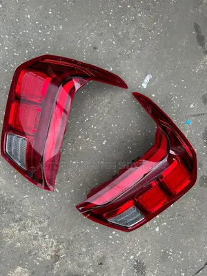 Back Light Palisade 2019