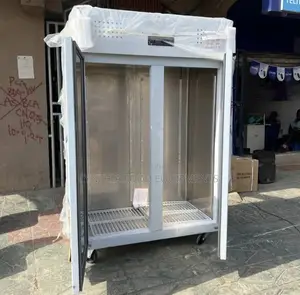 2 Doors Industrial Kitchen Freezer