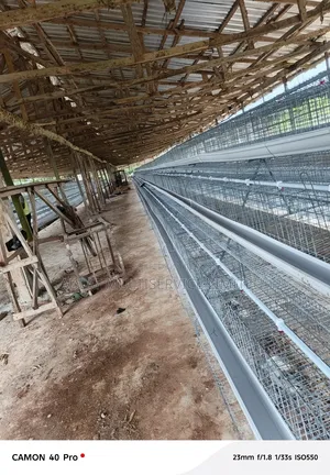Farmers Cage for Poultry