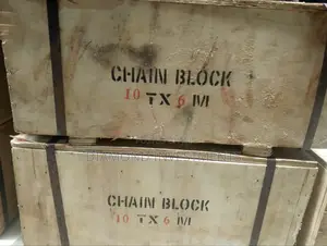 Chain Block 10tonx6m