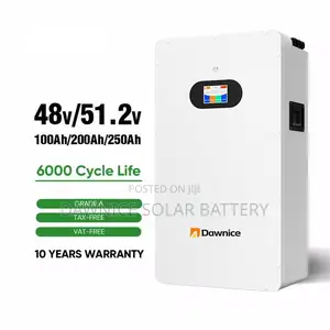 Dawnice 51.2v 100ah 5kwh Wall Mounted Solar Batteries
